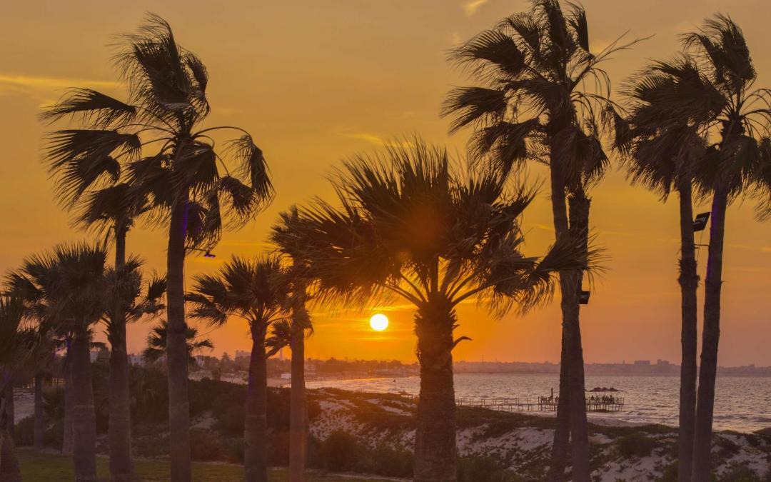 Photo of Others in Monastir