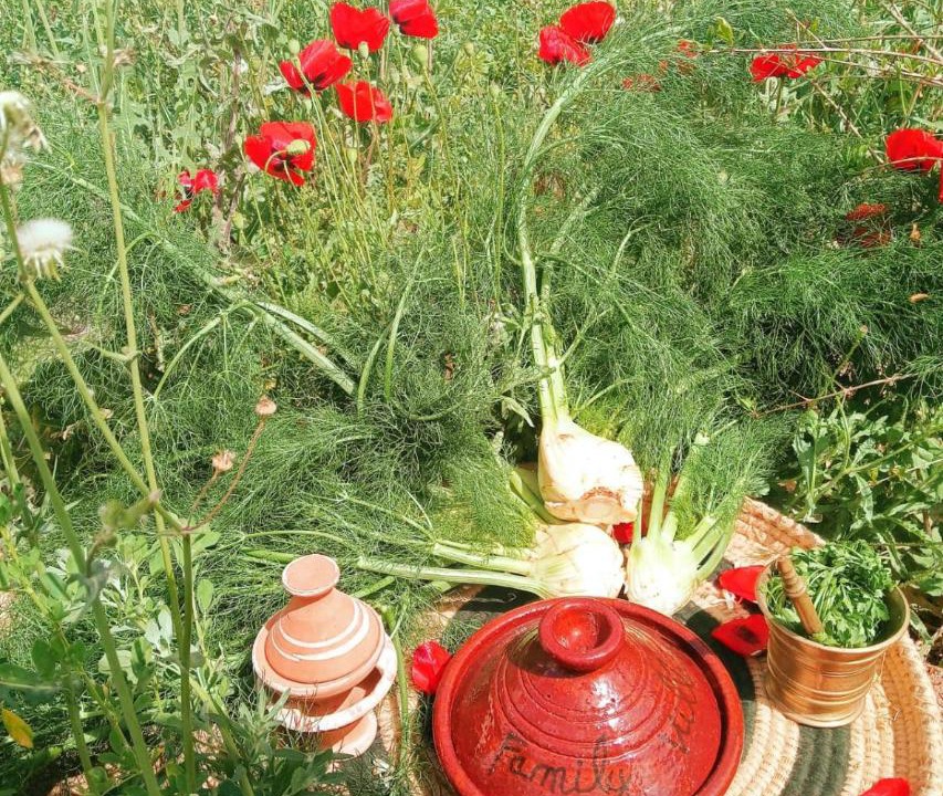 Photo of Outdoor in Tameslouht