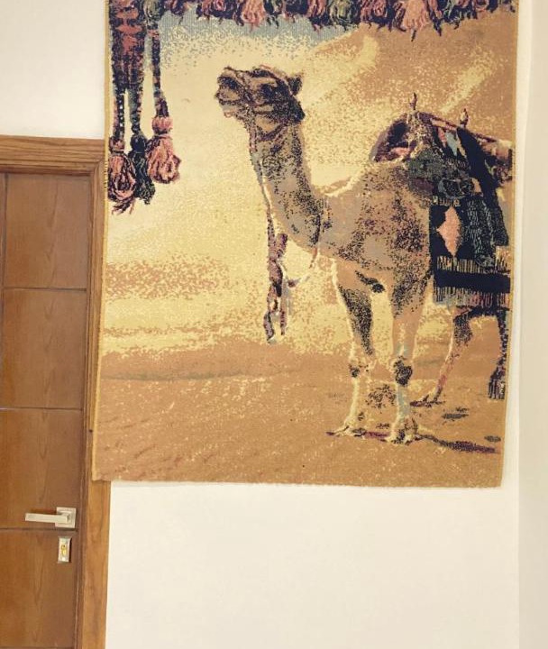 Photo of Others in Siwa