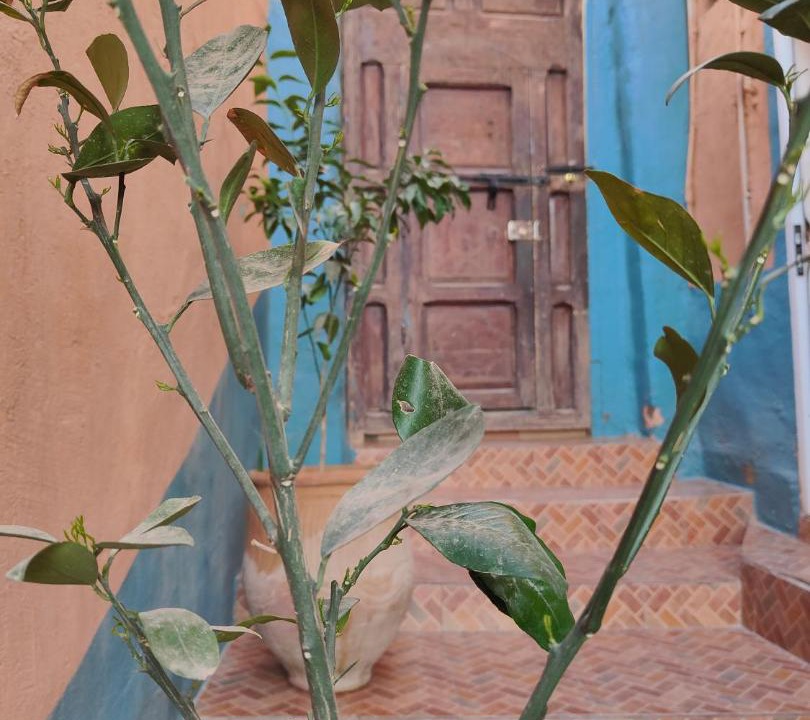Photo of Others in Tinghir