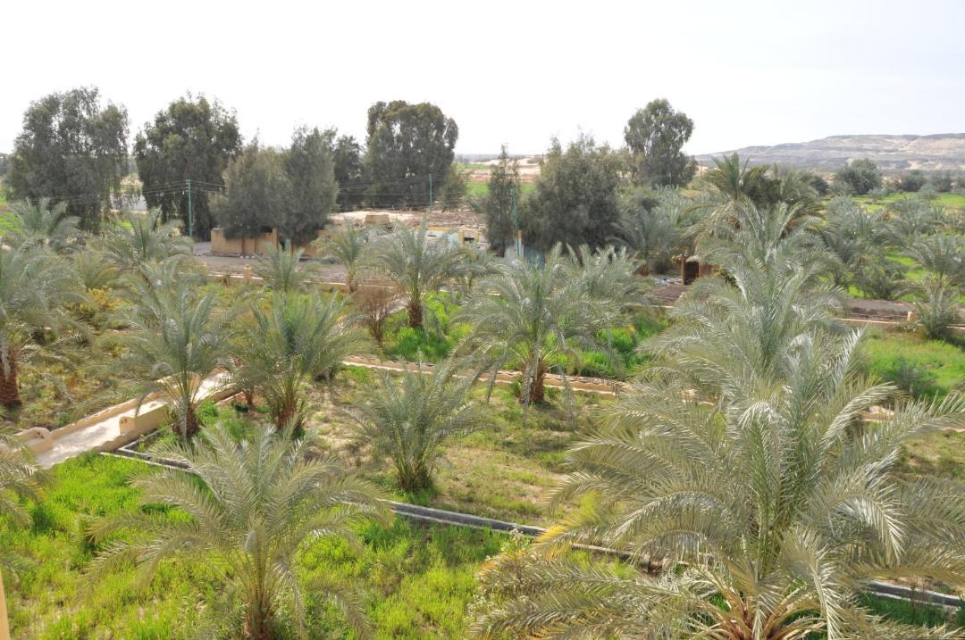 Photo of Others in Bawati