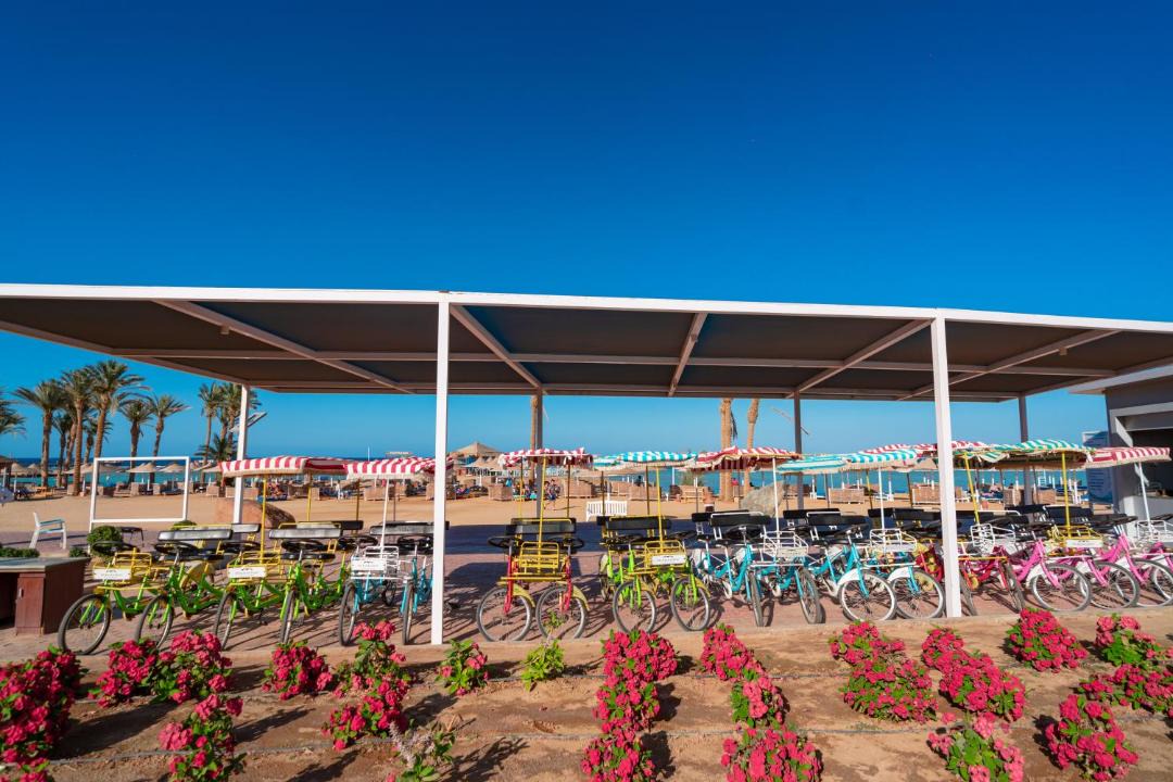 Photo of Others in Marsa Alam