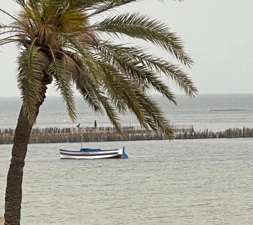 Photo of Others in Sidi Fredj