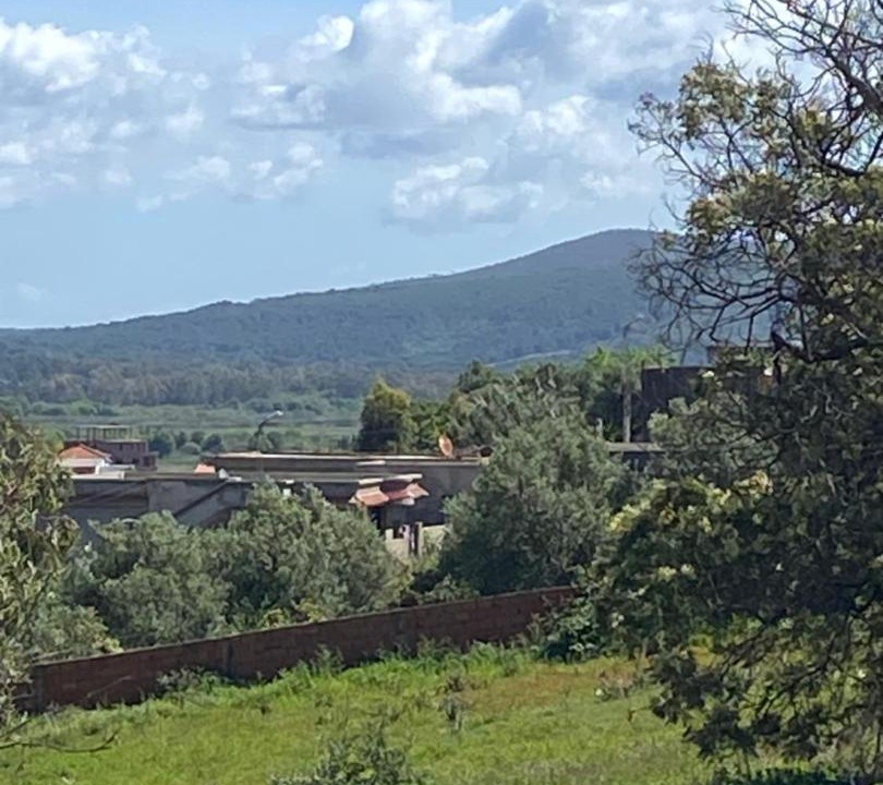 Photo of Others in Tabarka