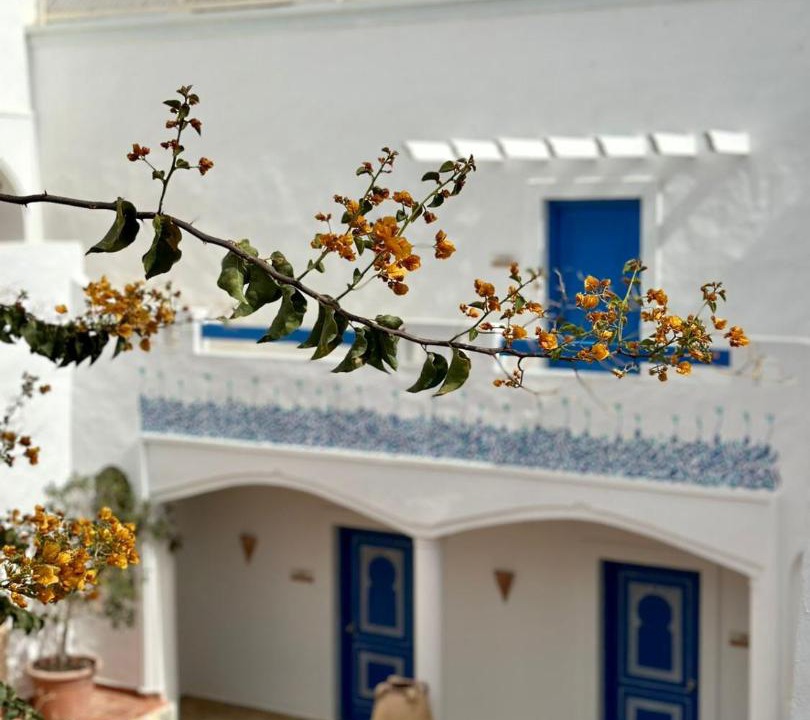 Photo of Others in Mezraia