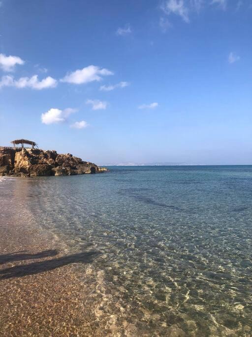 Photo of Others in Aousja
