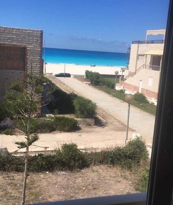 Photo of Others in Borg el Arab