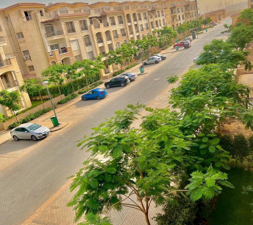 Photo of Others in Cairo