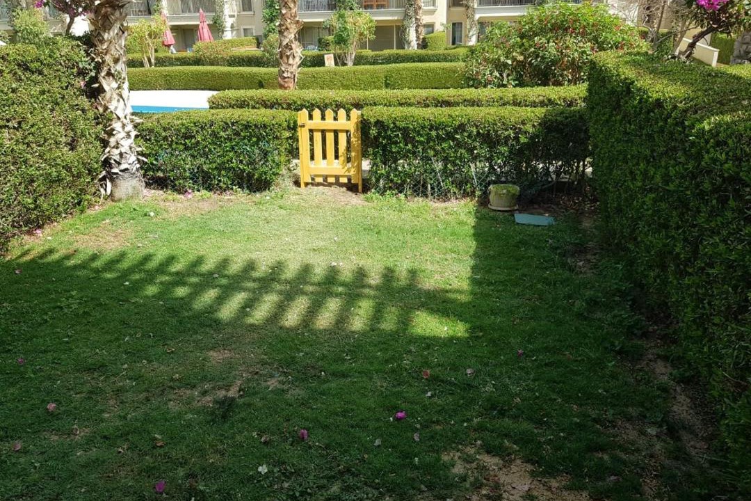 Photo of Others in Sahl Hasheeh