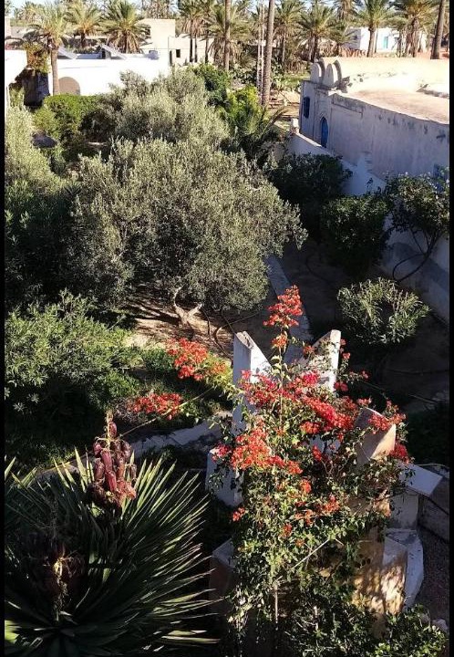 Photo of Others in Djerba Midun