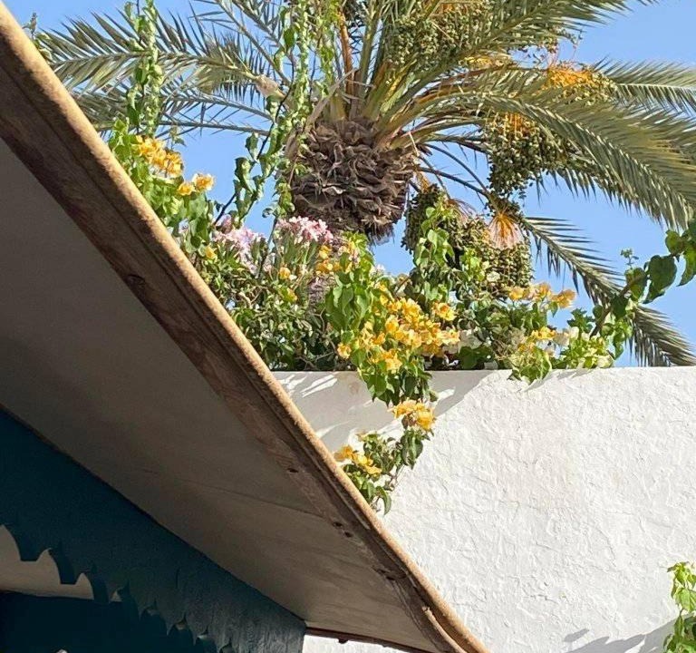 Photo of Others in Djerba Midun