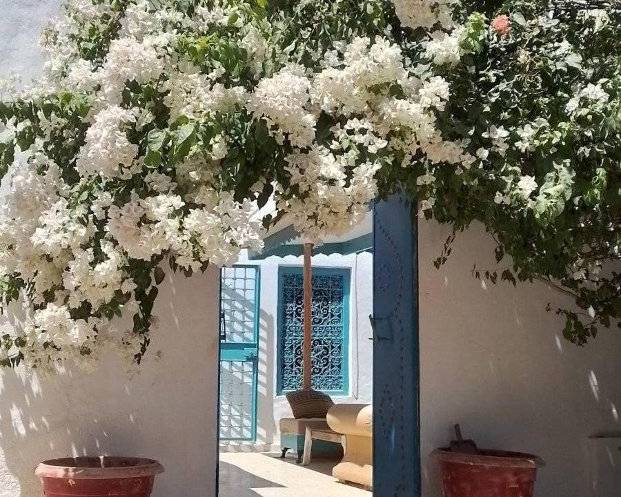 Photo of Others in Djerba Midun