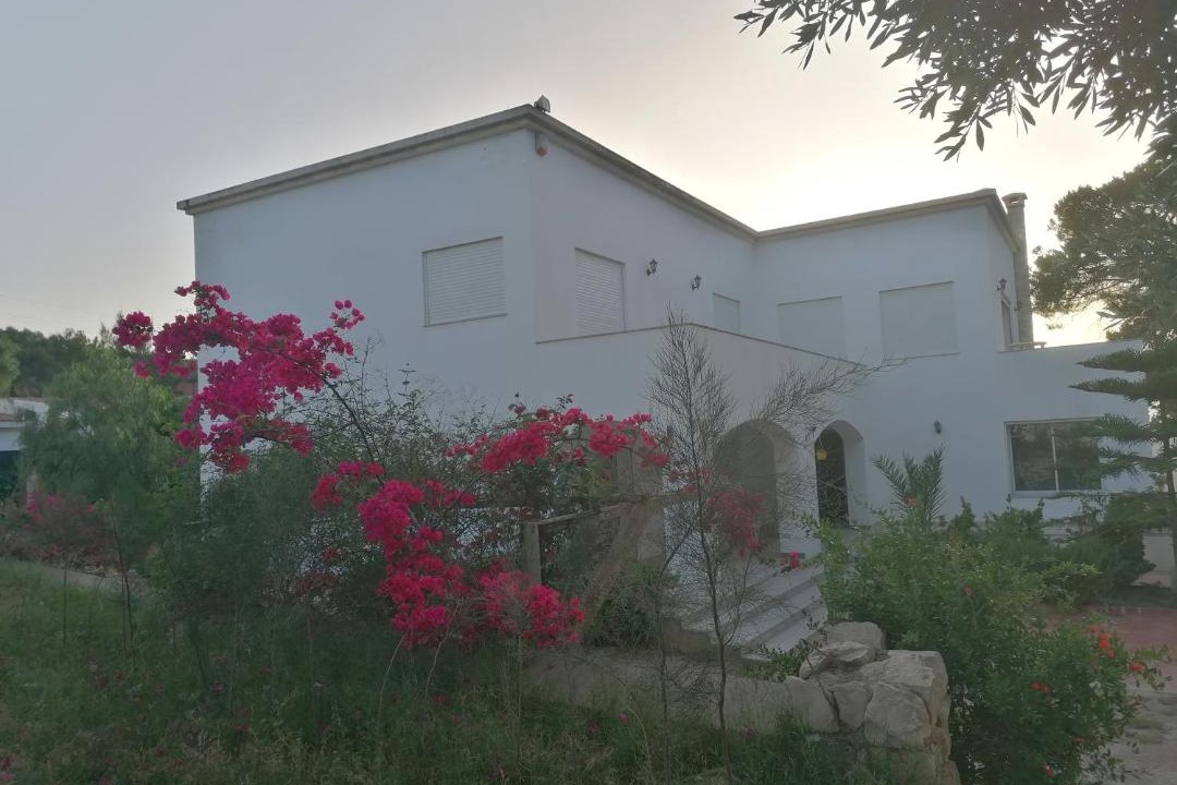 Photo of Others in Bizerte