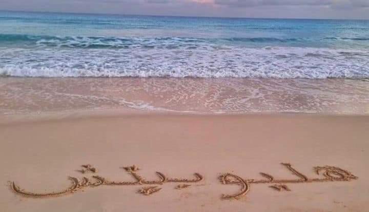 Photo of Others in Borg el Arab