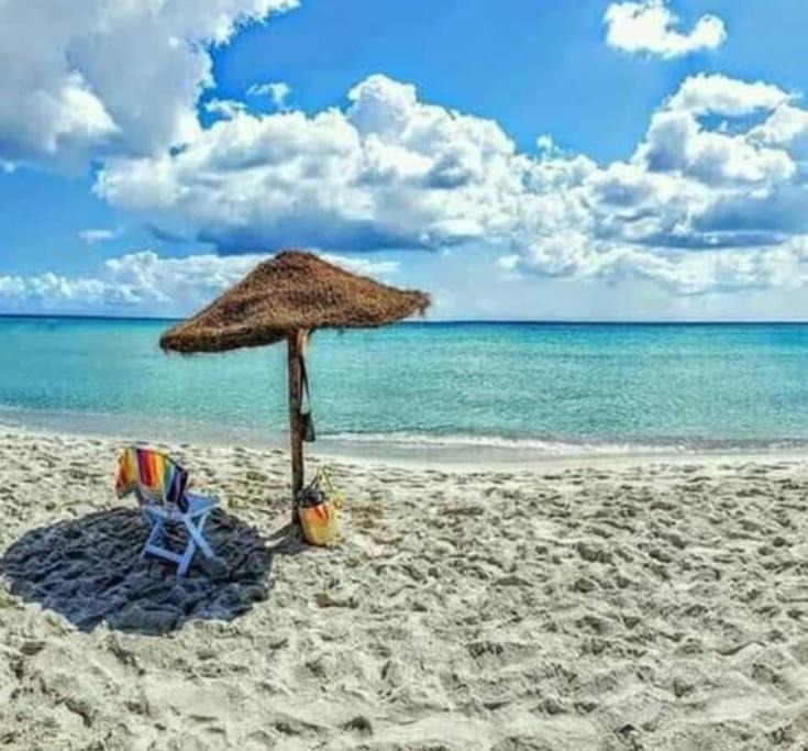 Photo of Outdoor in Eastern Hawaria