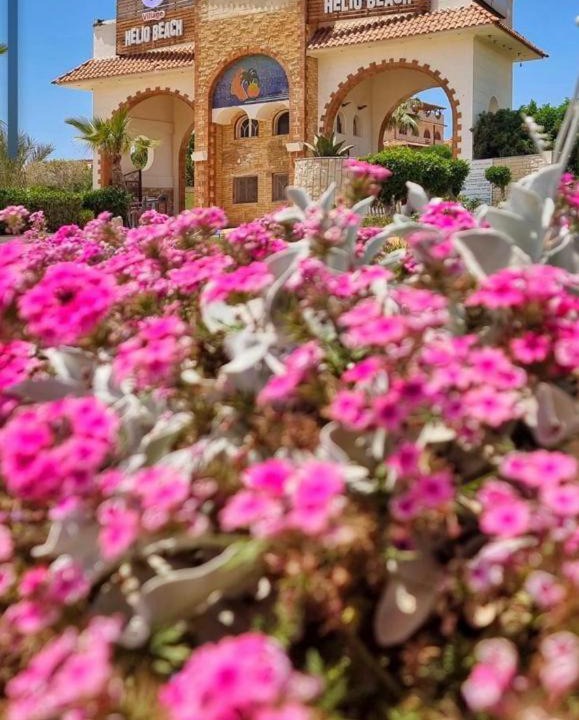Photo of Others in Borg el Arab