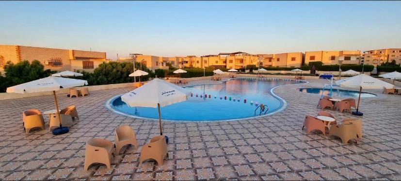 Photo of Others in Borg el Arab