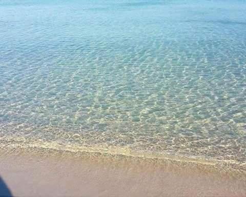 Photo of Outdoor in Chott Mariem