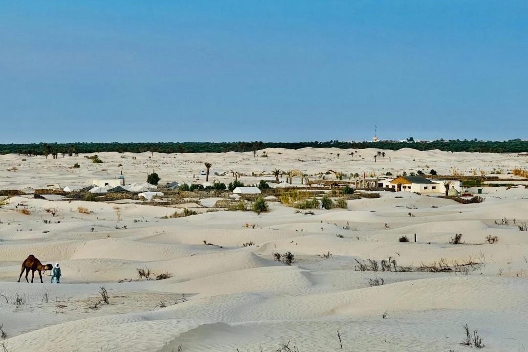 Photo of Others in El Faouar