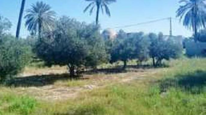 Photo of Others in Hawmat al Badawiyin