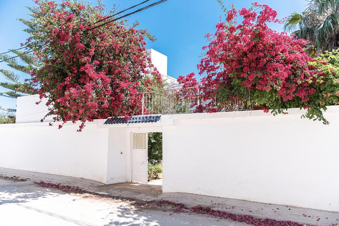 Photo of Others in La Marsa