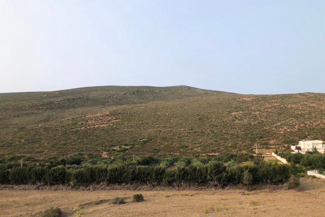 Photo of Others in Nabeul