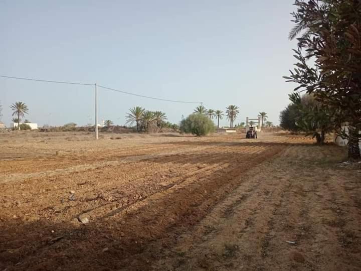 Photo of Others in Hawmat al Badawiyin