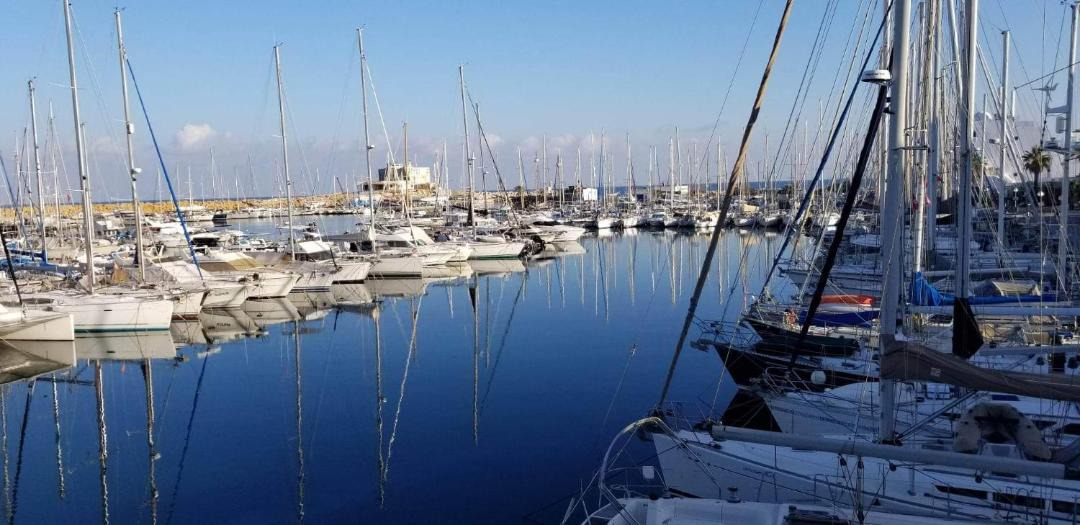 Photo of Others in Monastir