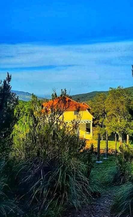Photo of Others in Ain Draham