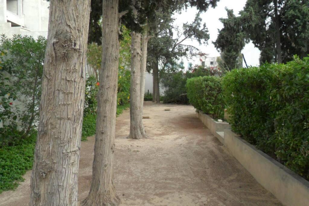 Photo of Others in Sqanes