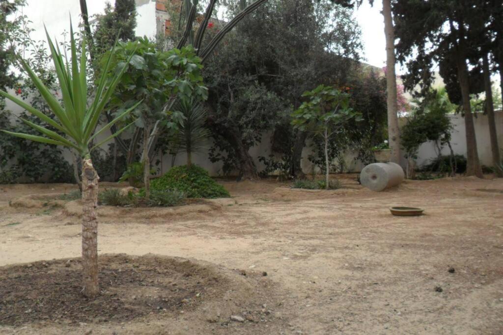 Photo of Others in Sqanes