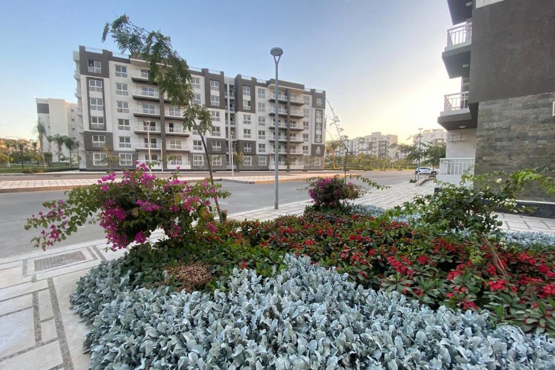 Photo of Buildings in Madinaty
