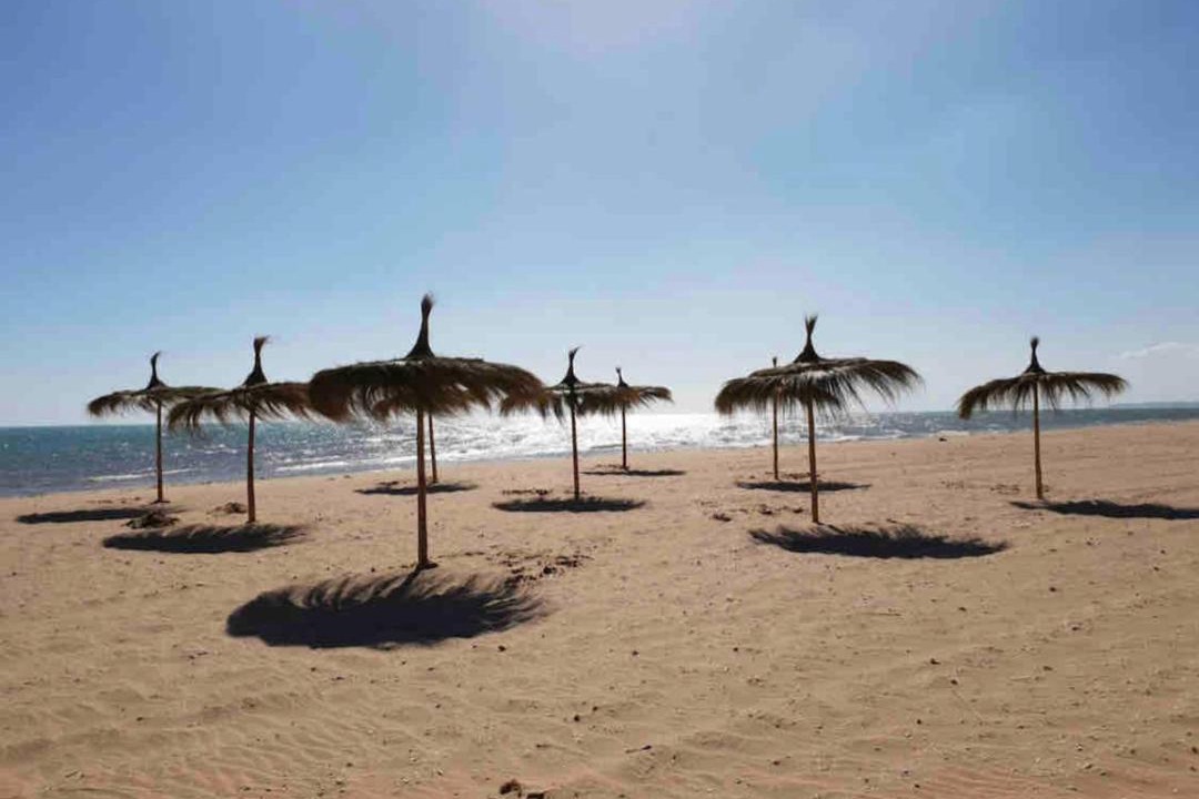 Photo of Others in Raoued plage