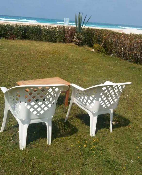 Photo of Others in Borg el Arab