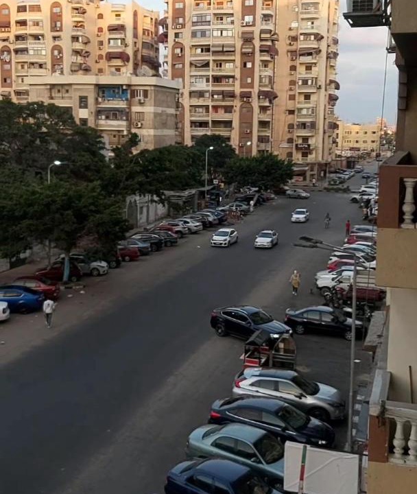 Photo of Others in Port Said