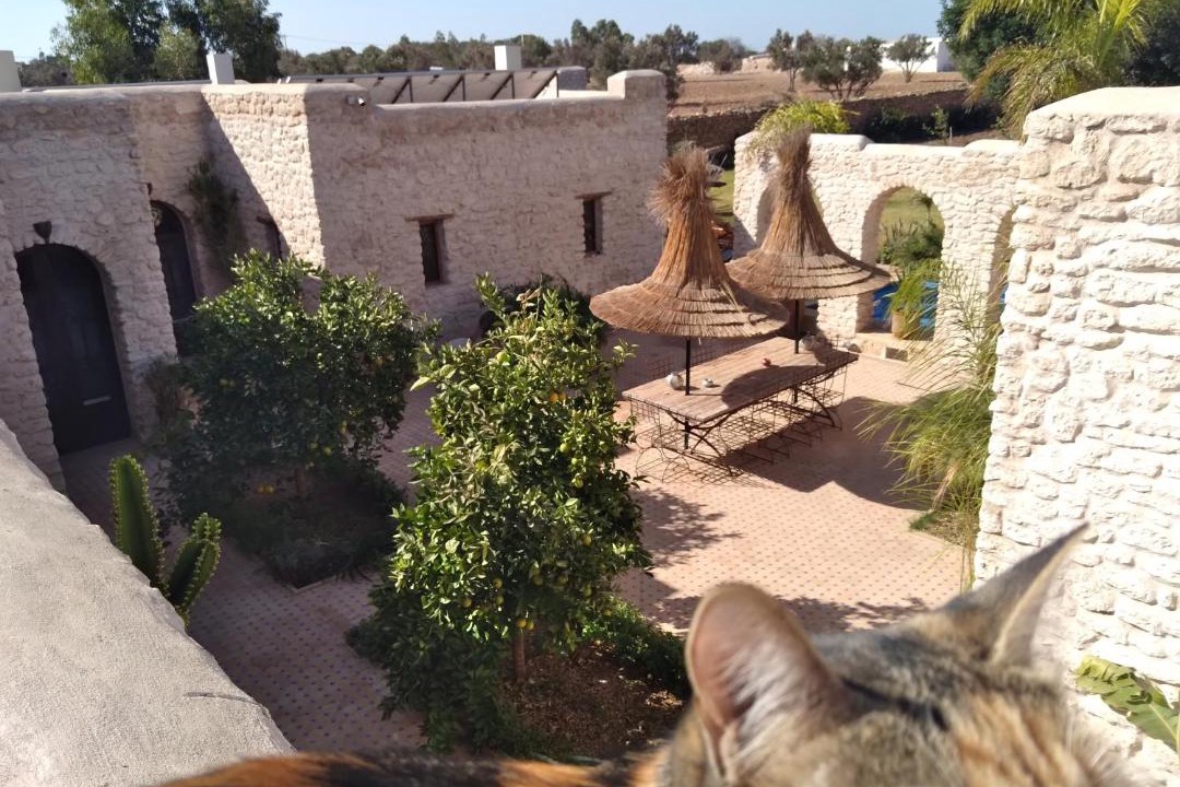 Photo of Others in Sidi Kaouki