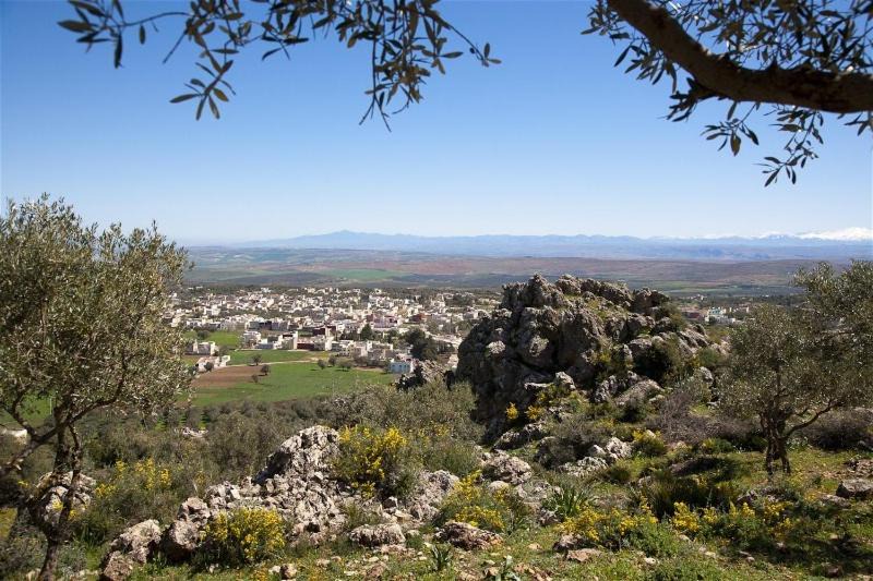 Photo of Others in Bhalil