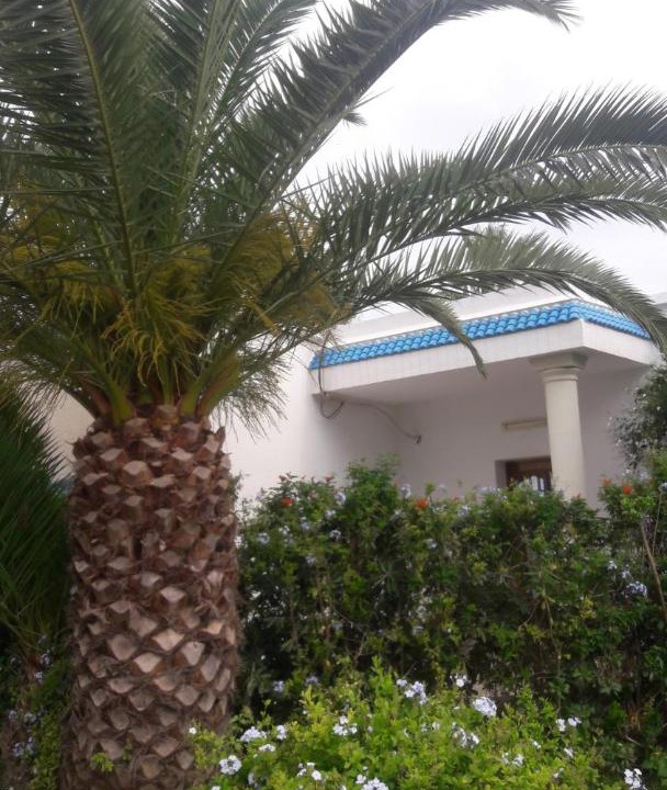 Photo of Livingroom in Chott Mariem
