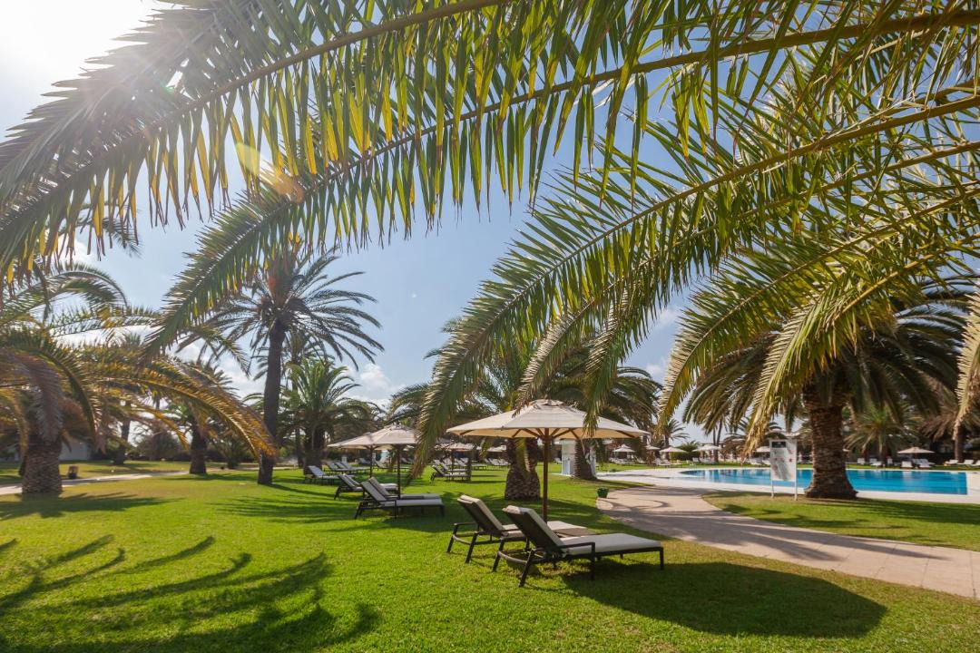 Photo of Others in Hammamet