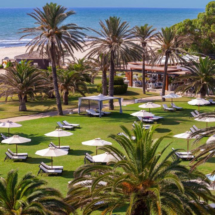 Photo of Others in Hammamet