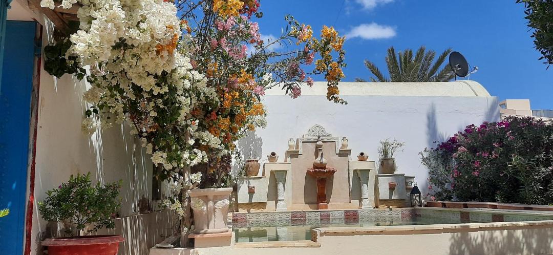 Photo of Others in Djerba Midun