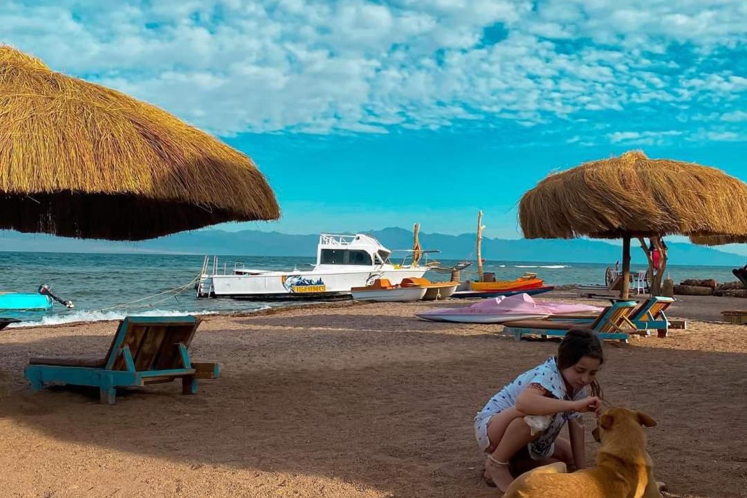 Photo of Others in Nuweiba