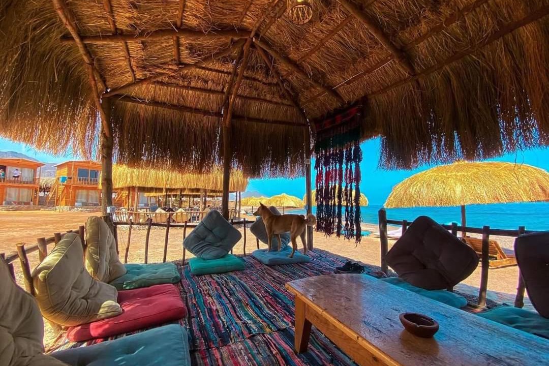 Photo of Others in Nuweiba