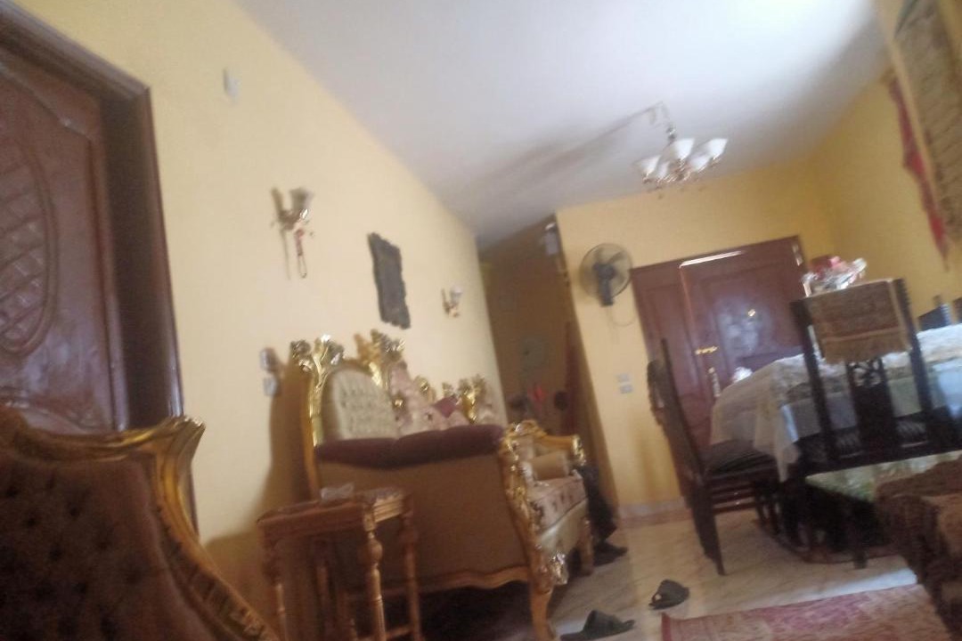 Photo of Livingroom in Giza