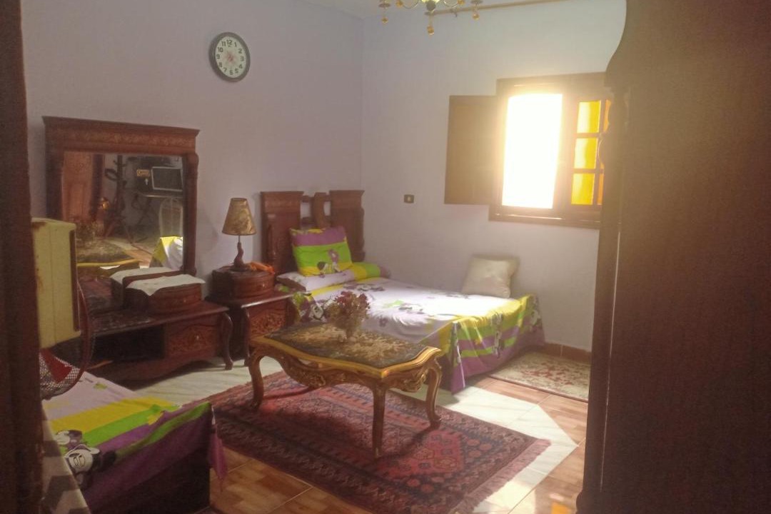 Photo of Livingroom in Giza