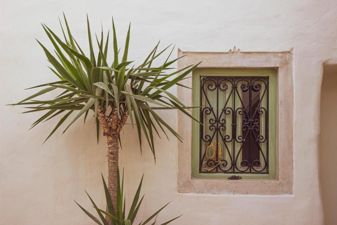 Photo of Outdoor in Erriadh