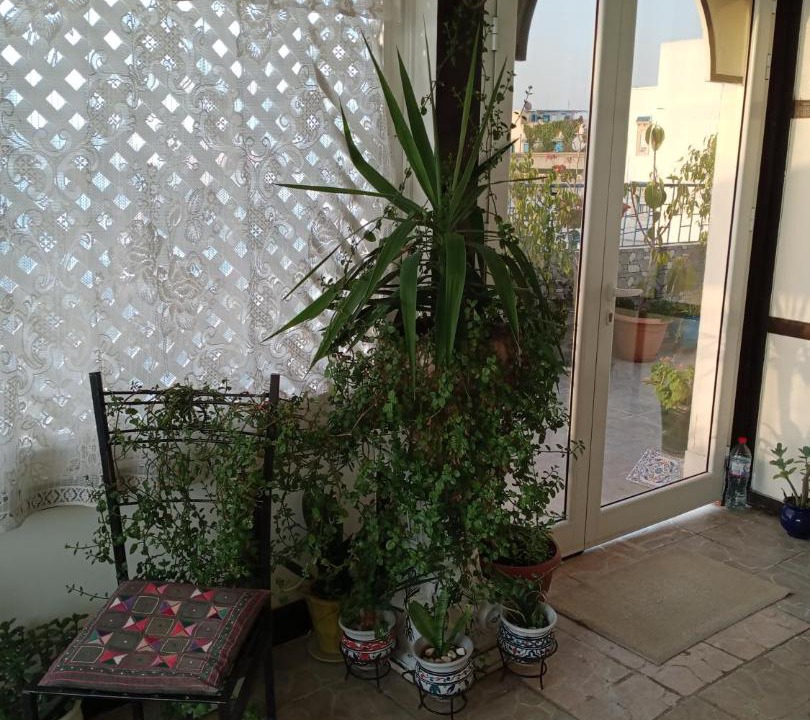 Photo of Others in Sidi Bou Said