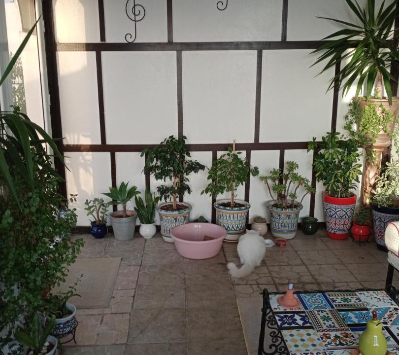 Photo of Patio Balcony in Sidi Bou Said