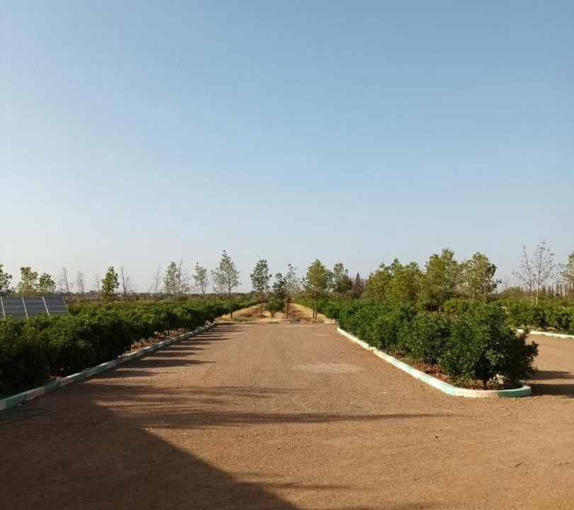 Photo of Buildings in El Aggada