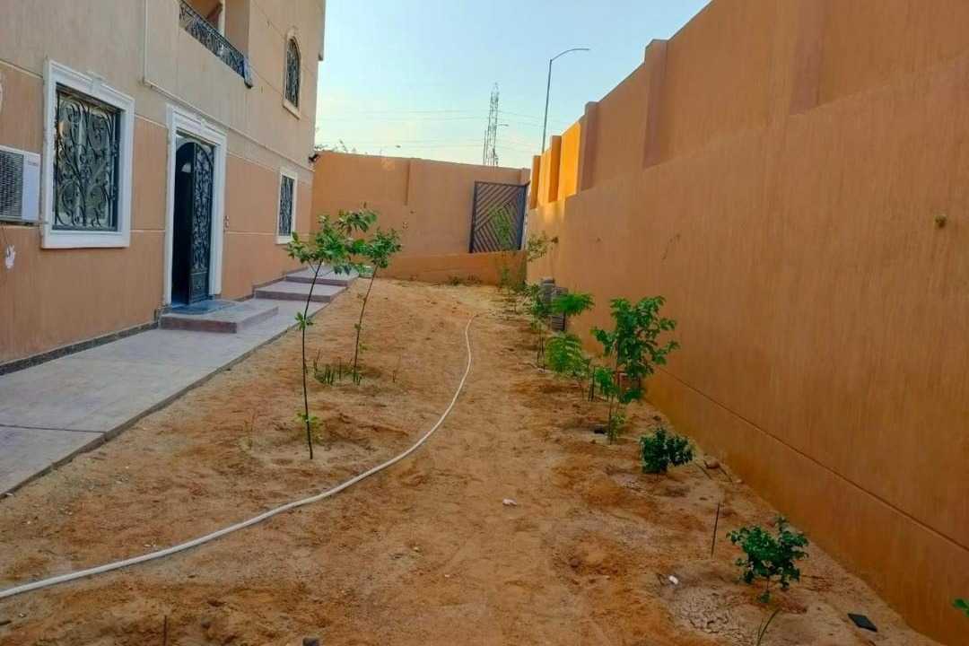 Photo of Buildings in 6th of October City